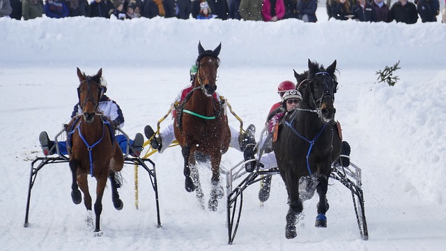 华为这类品 华为这类品